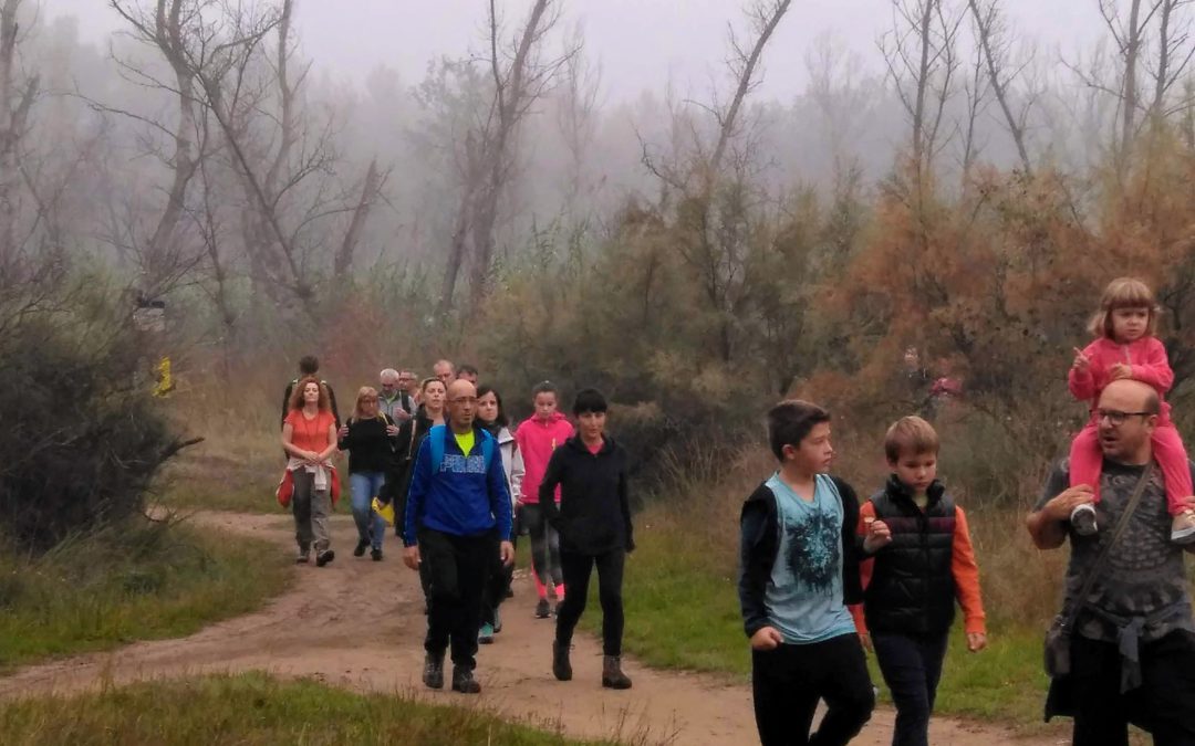 Caminada per la Mitjana