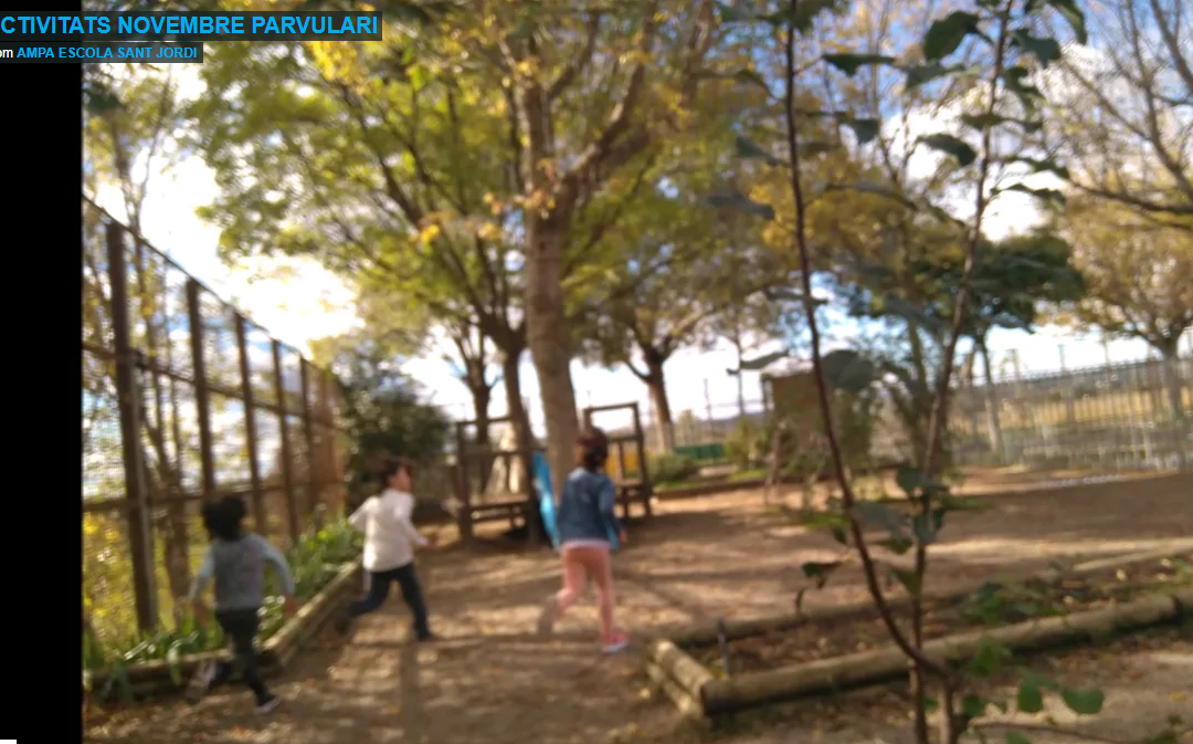 ACTIVITATS DE PARVULARI DE NOVEMBRE