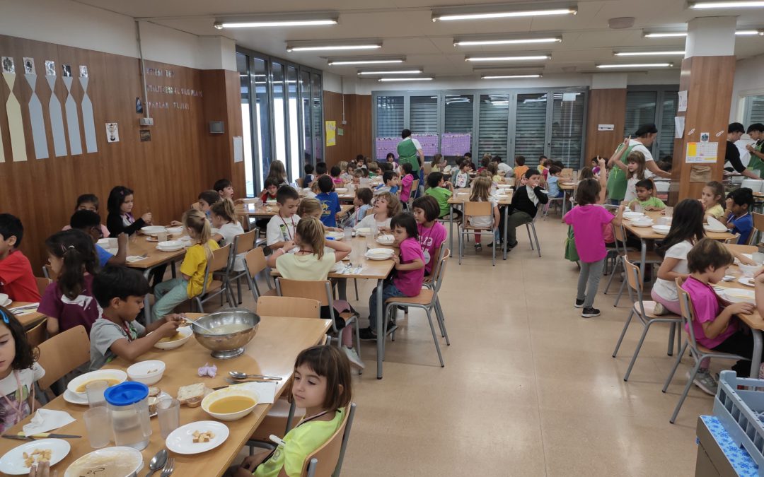 Viu el nostre migdia